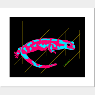 Pink and blue Salamander Posters and Art